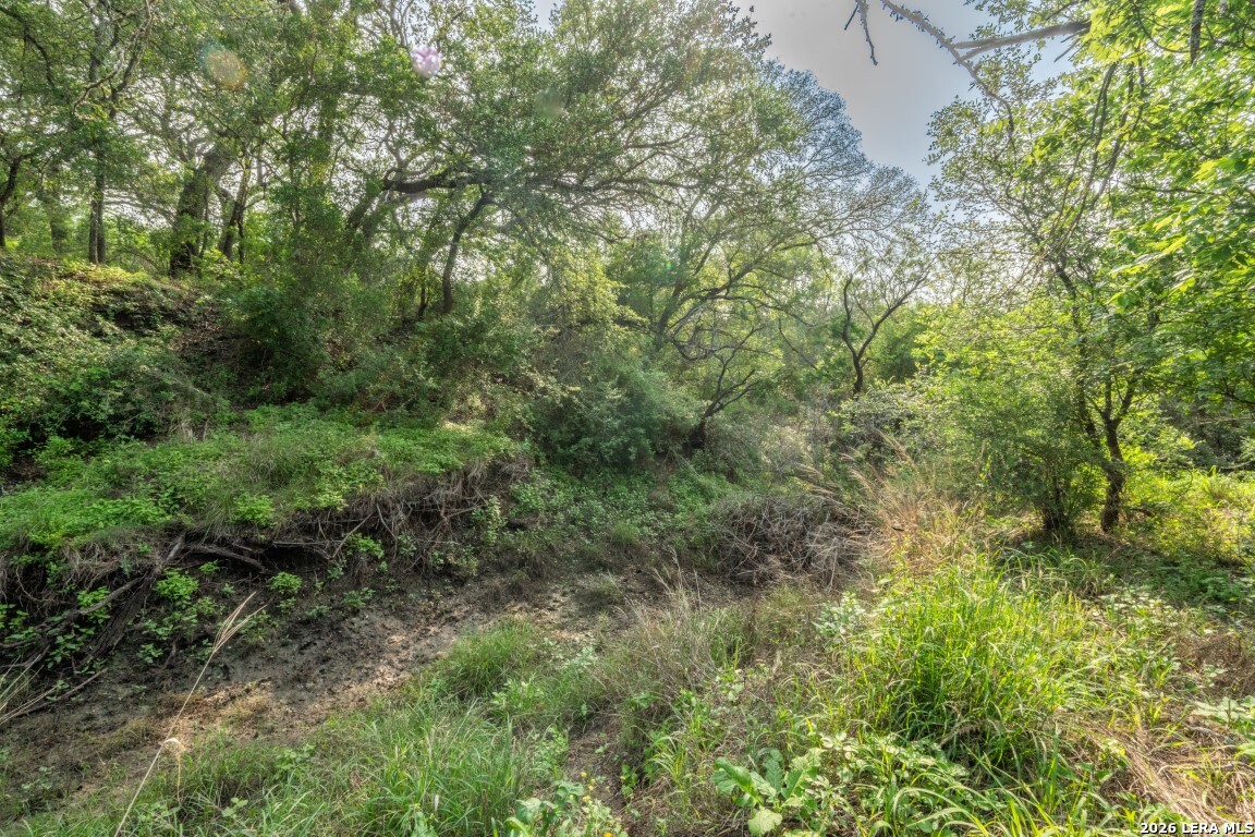 224 County Road 662 Devine TX 78016