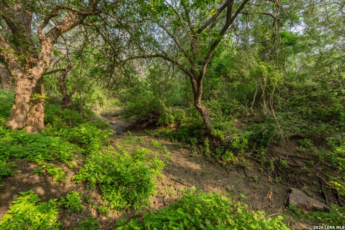 224 County Road 662 Devine TX 78016