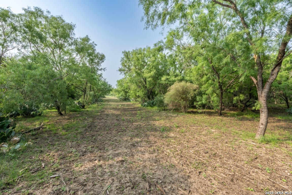 224 County Road 662 Devine TX 78016