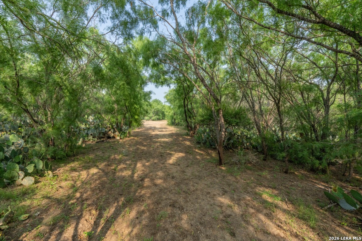 224 County Road 662 Devine TX 78016