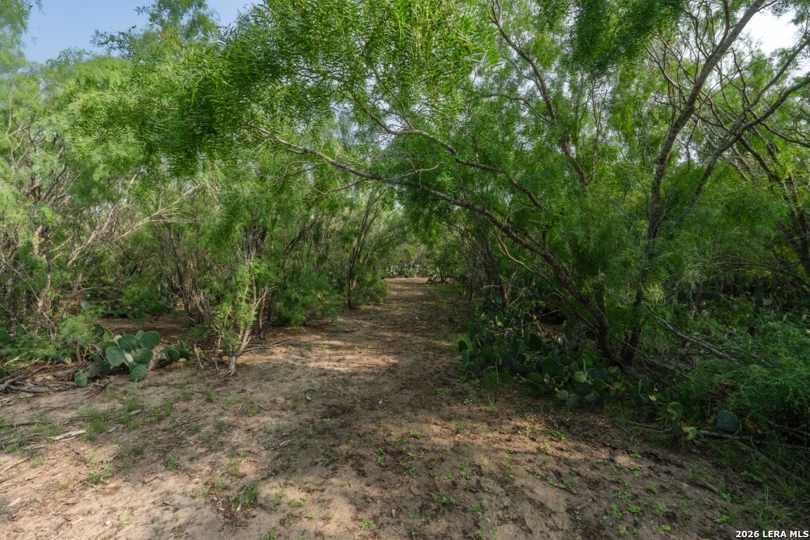 224 County Road 662 Devine TX 78016
