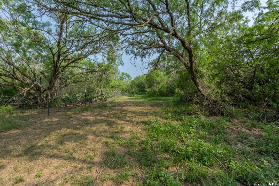 224 County Road 662 Devine TX 78016