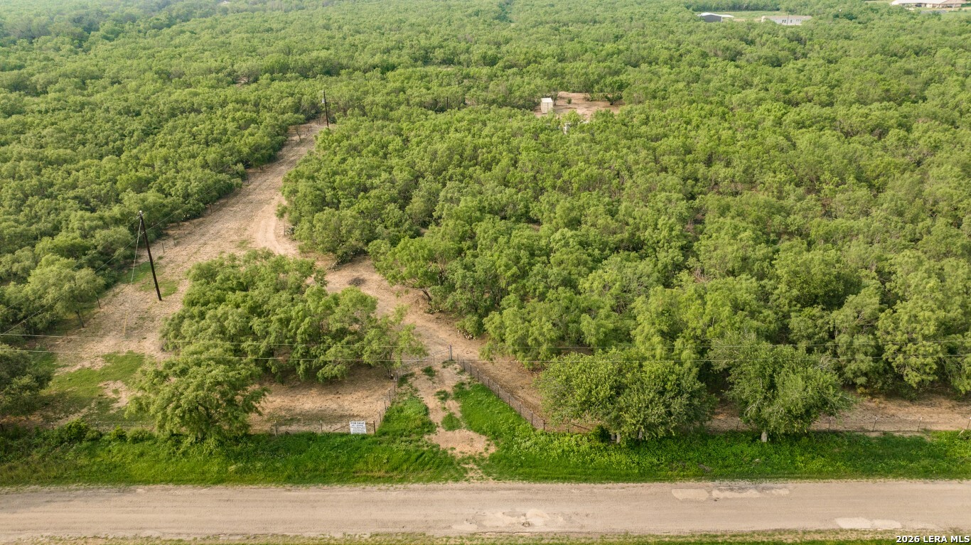 224 County Road 662 Devine TX 78016