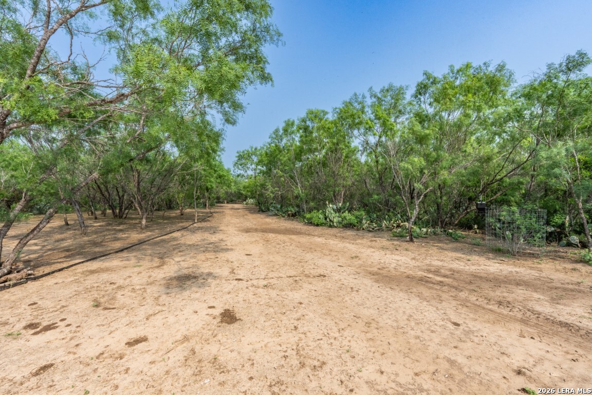 224 County Road 662 Devine TX 78016