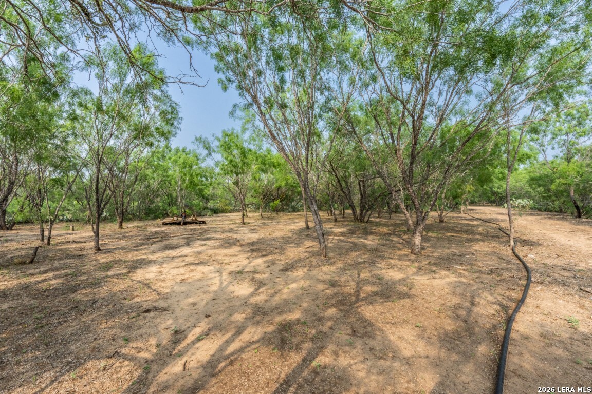 224 County Road 662 Devine TX 78016
