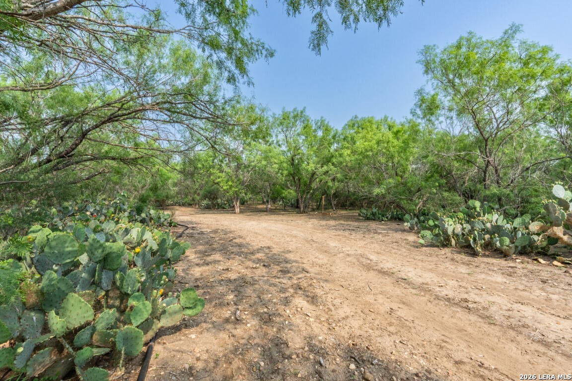 224 County Road 662 Devine TX 78016