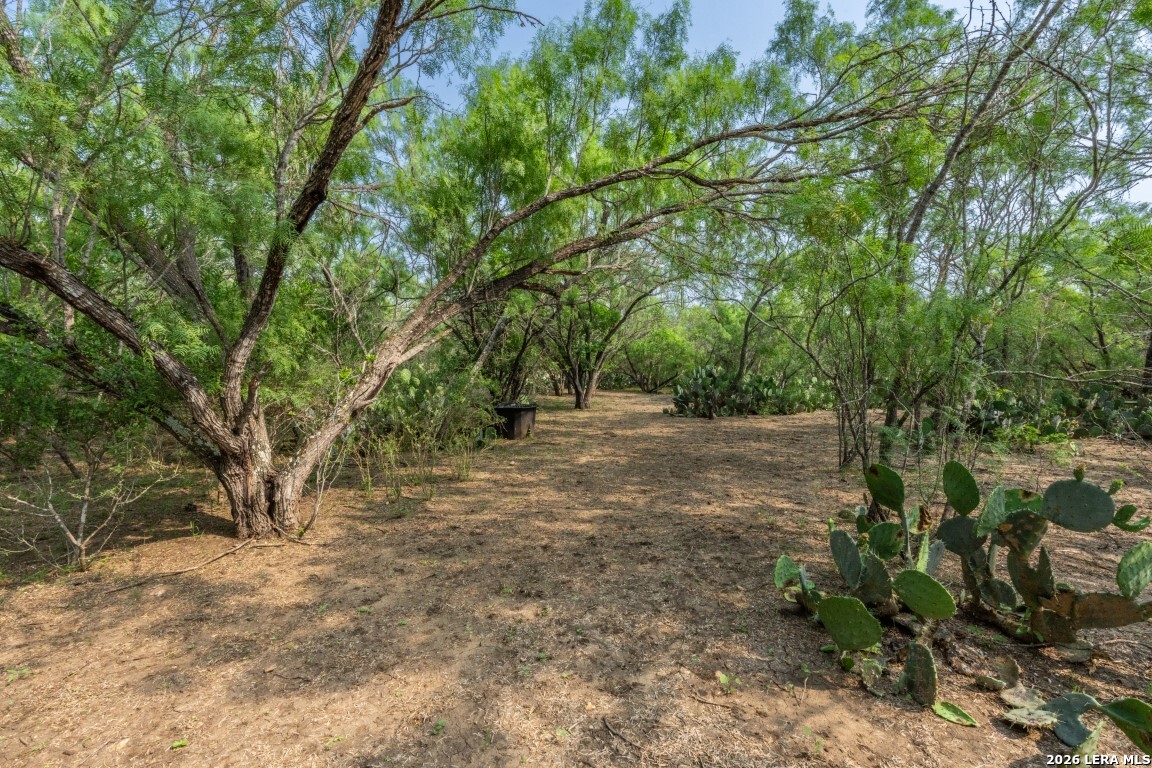 224 County Road 662 Devine TX 78016