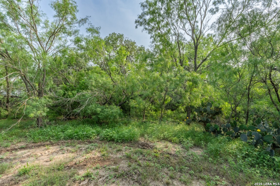 224 County Road 662 Devine TX 78016