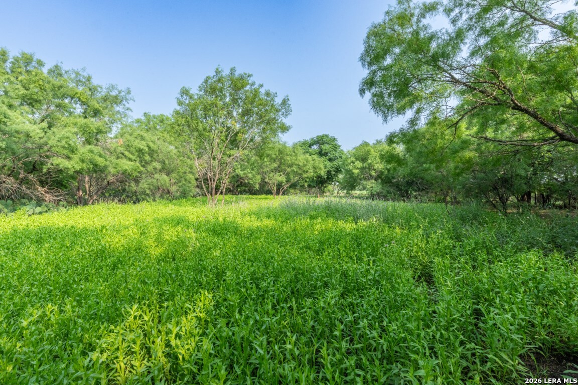 224 County Road 662 Devine TX 78016