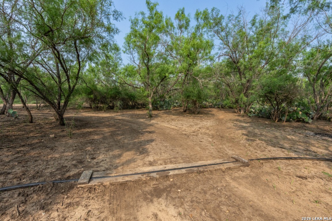 224 County Road 662 Devine TX 78016