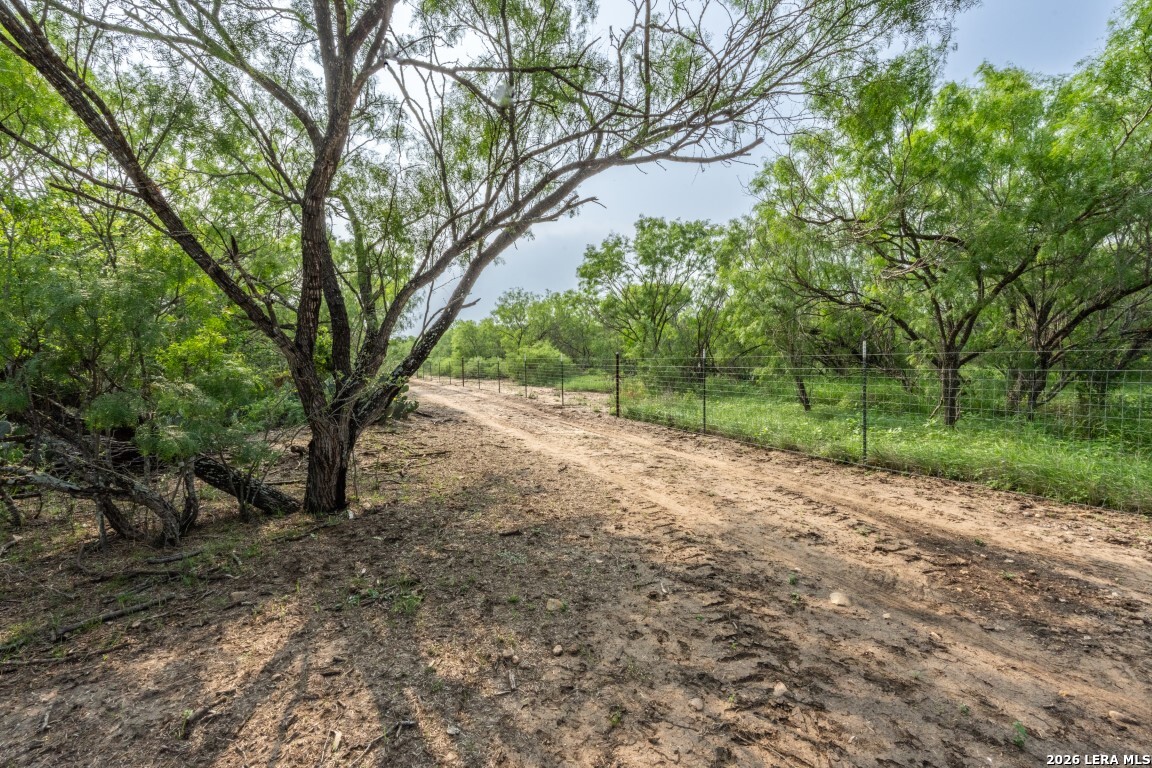 224 County Road 662 Devine TX 78016