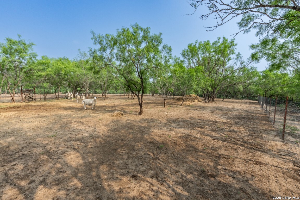 224 County Road 662 Devine TX 78016
