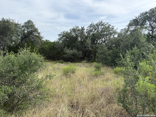 359 River Cliff Place Spring Branch TX 78070