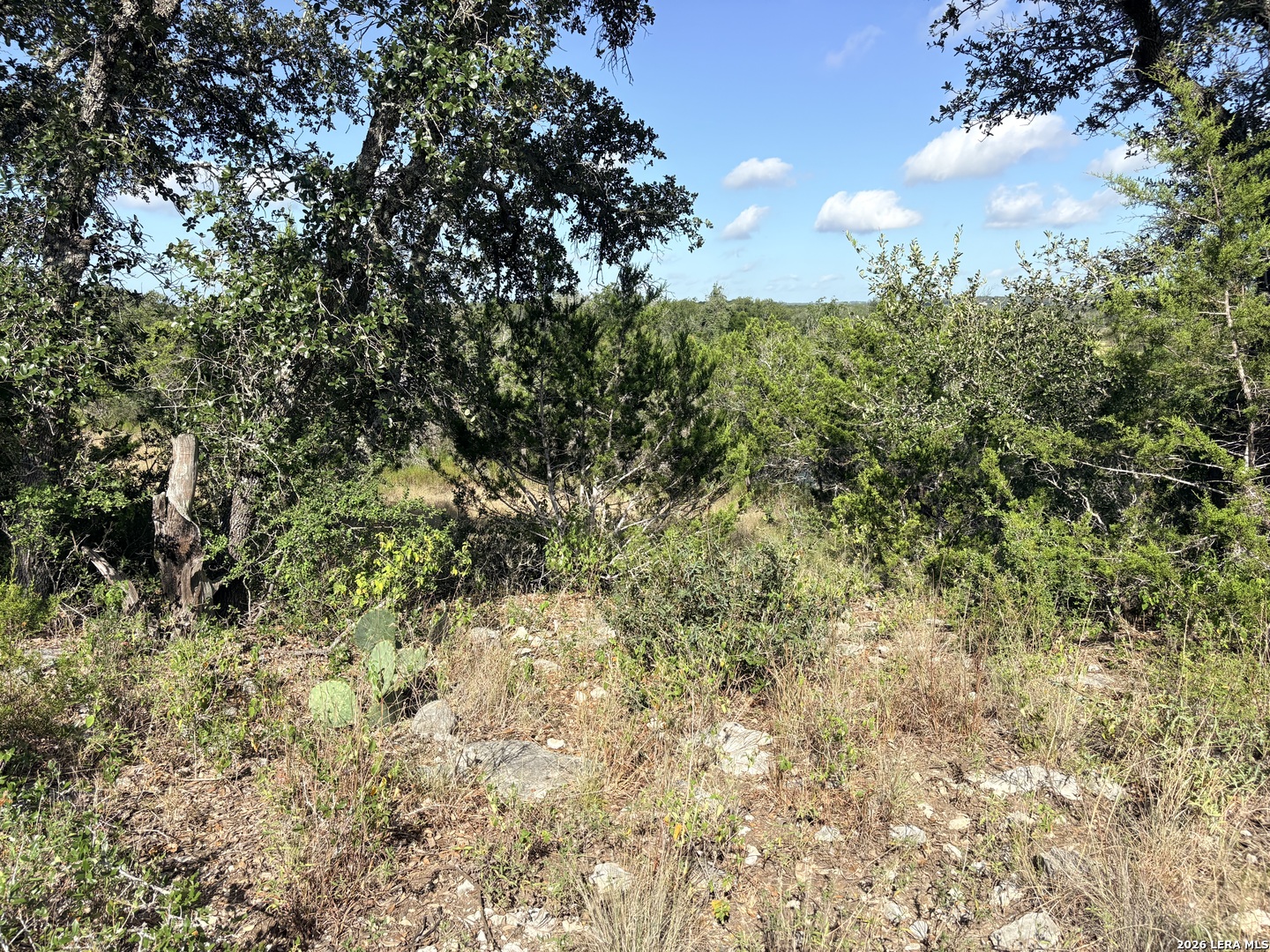 359 River Cliff Place Spring Branch TX 78070