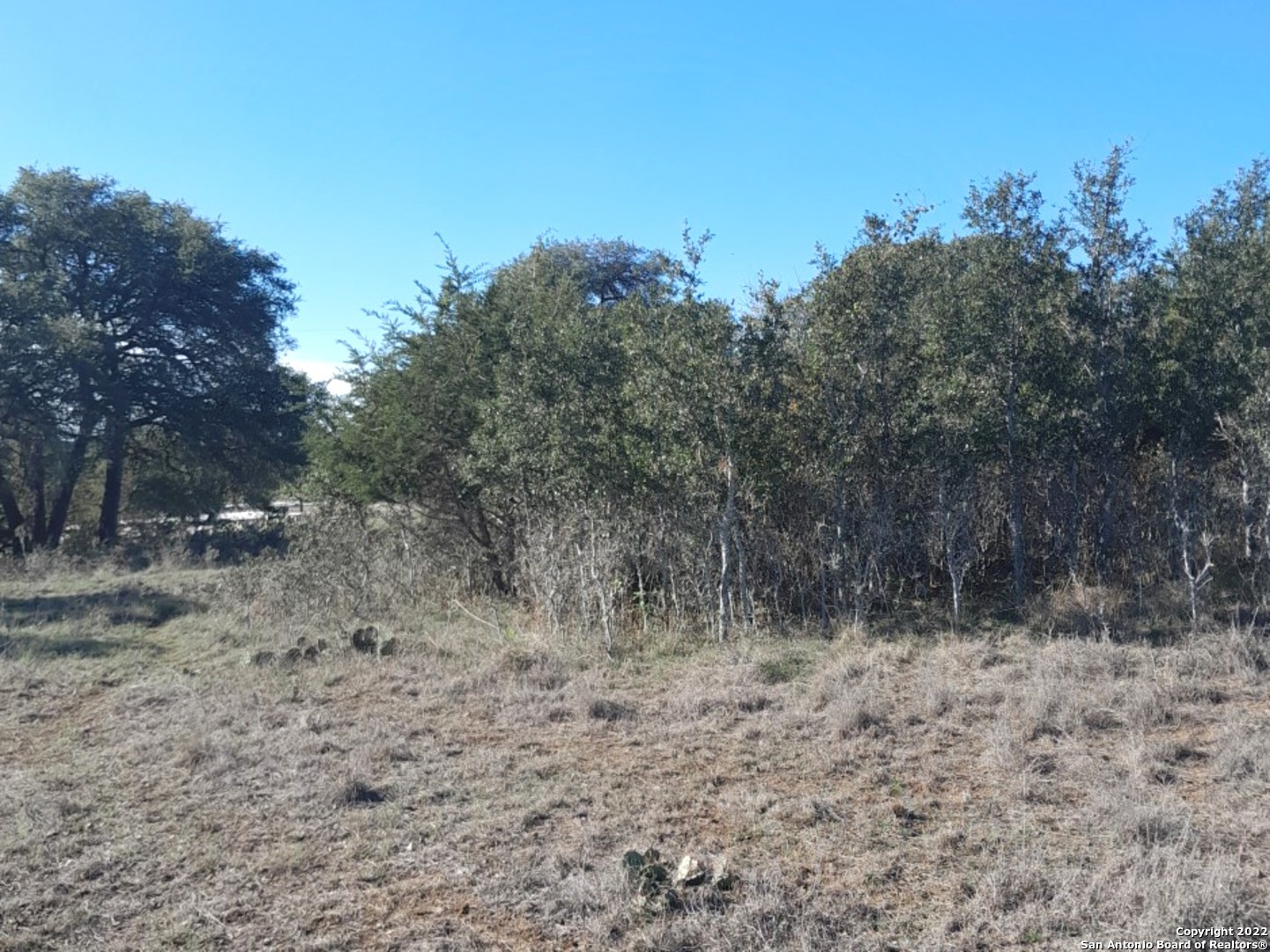 125 Antonio Perez Blanco TX 78606
