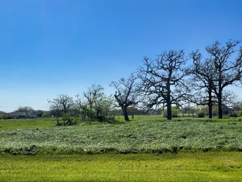 9993 Panther Creek Drive Iola TX 77861