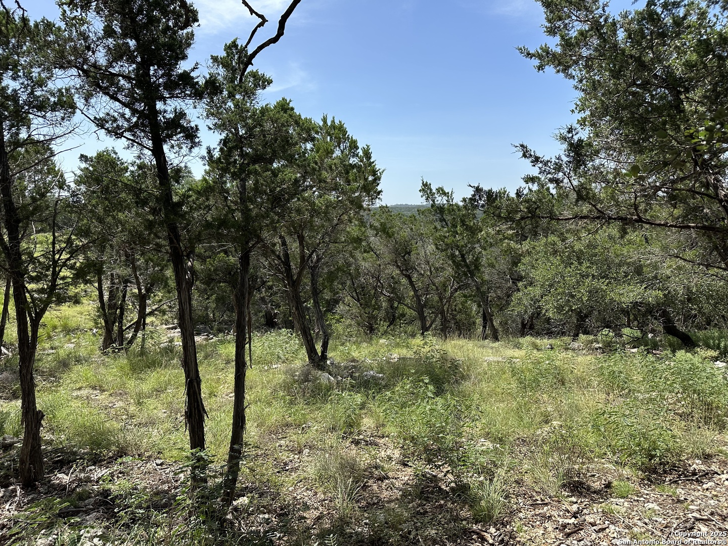 27903 Storm View San Antonio TX 78266