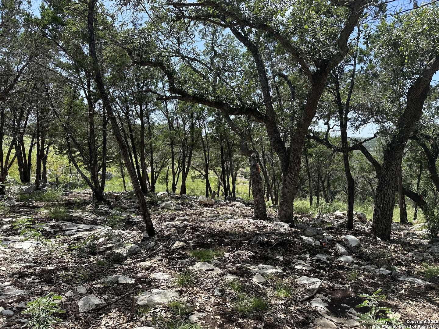 27903 Storm View San Antonio TX 78266