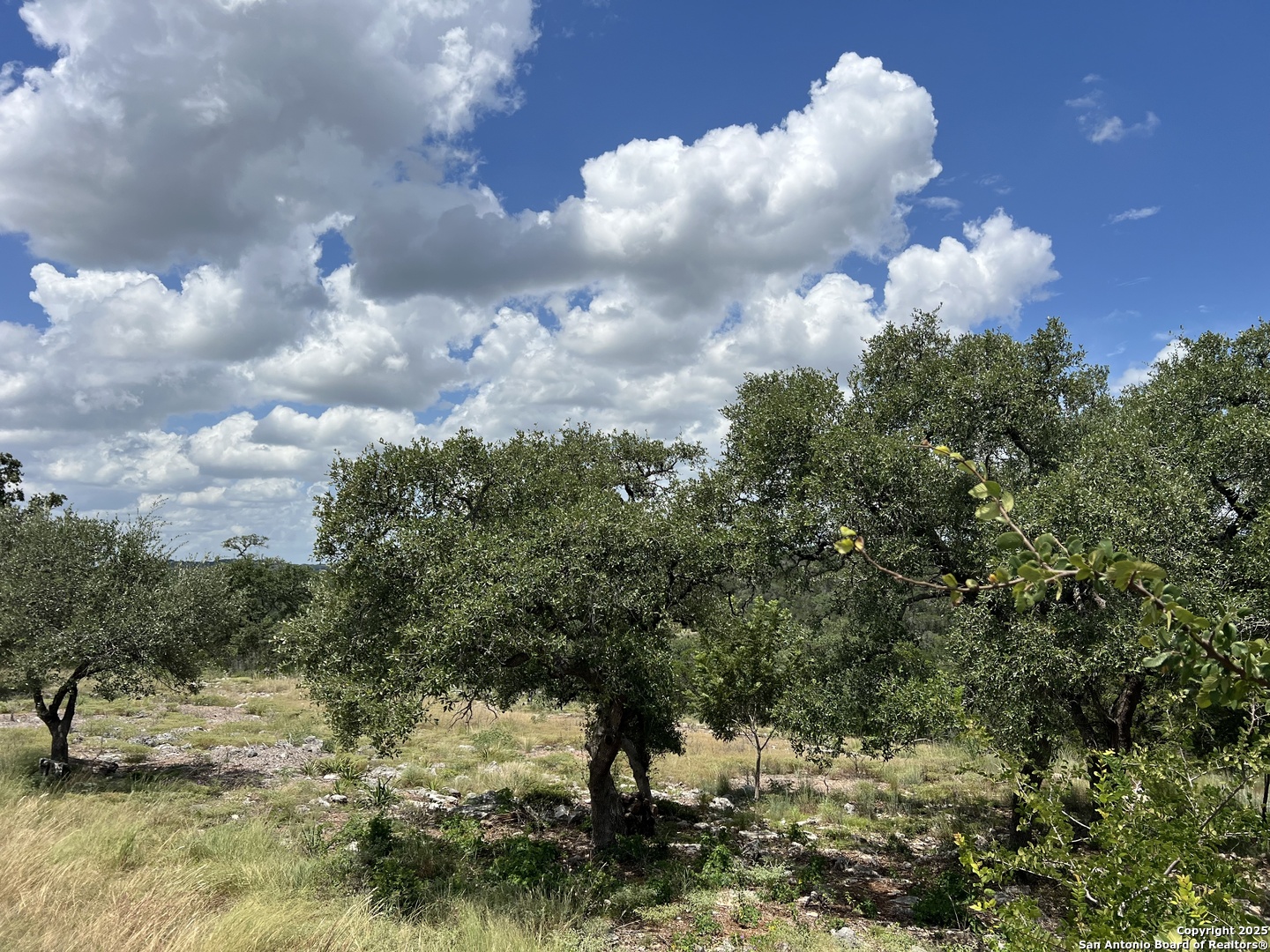 27903 Storm View San Antonio TX 78266