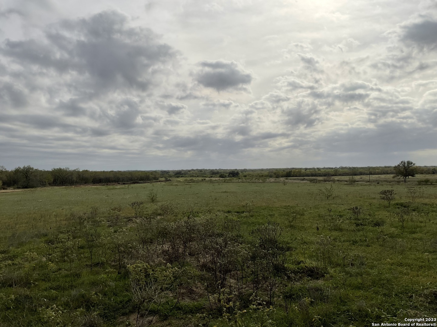 128 Sylas Hayes Loop Leming TX 78064