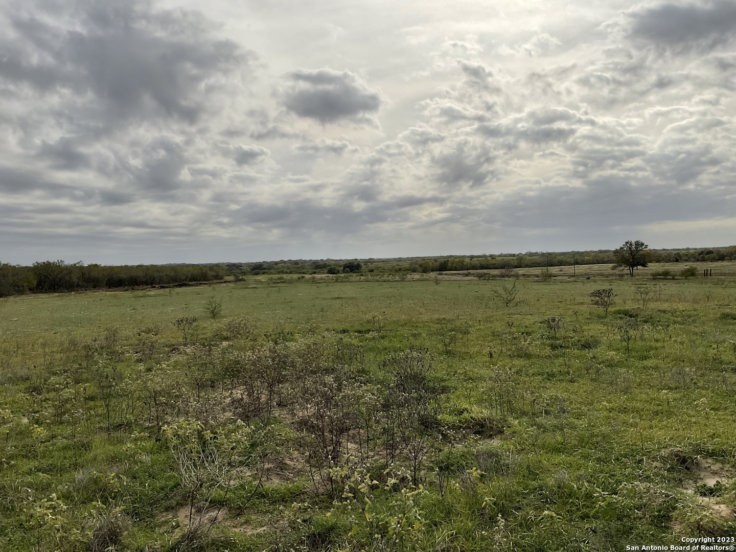 128 Sylas Hayes Loop Leming TX 78064
