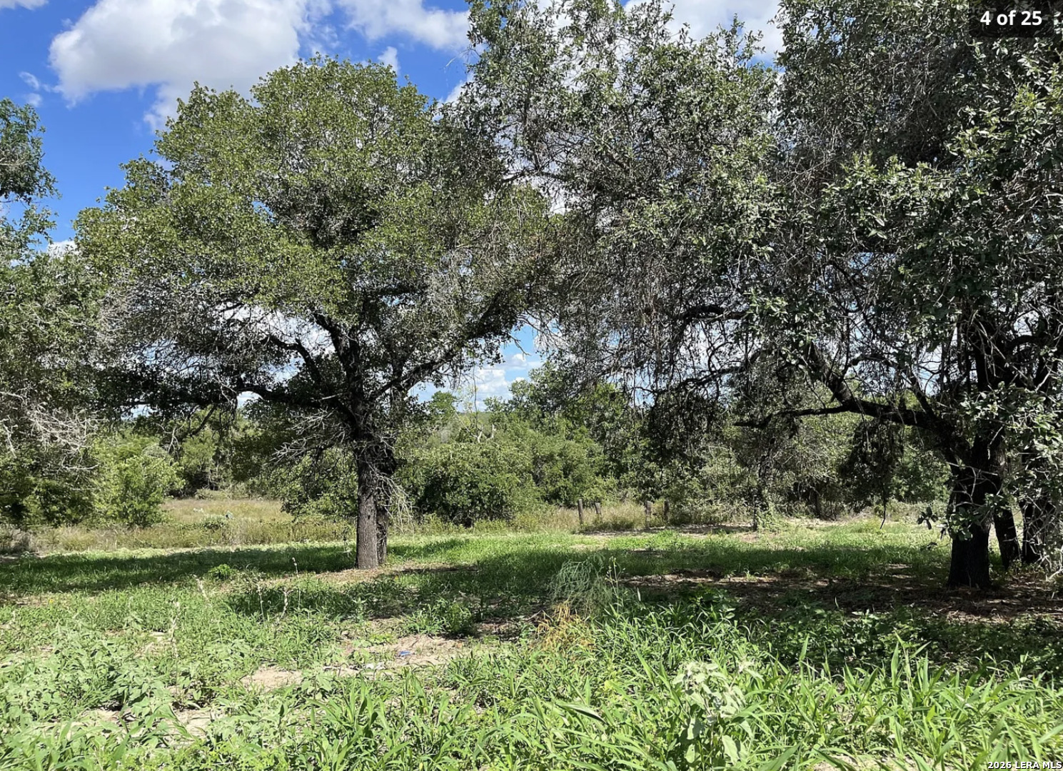 497 County Road 124 Floresville TX 78114