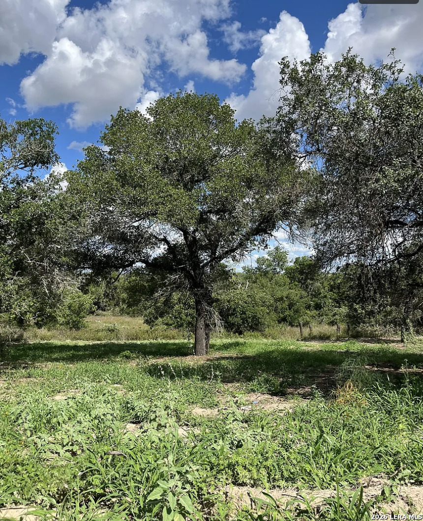 497 County Road 124 Floresville TX 78114