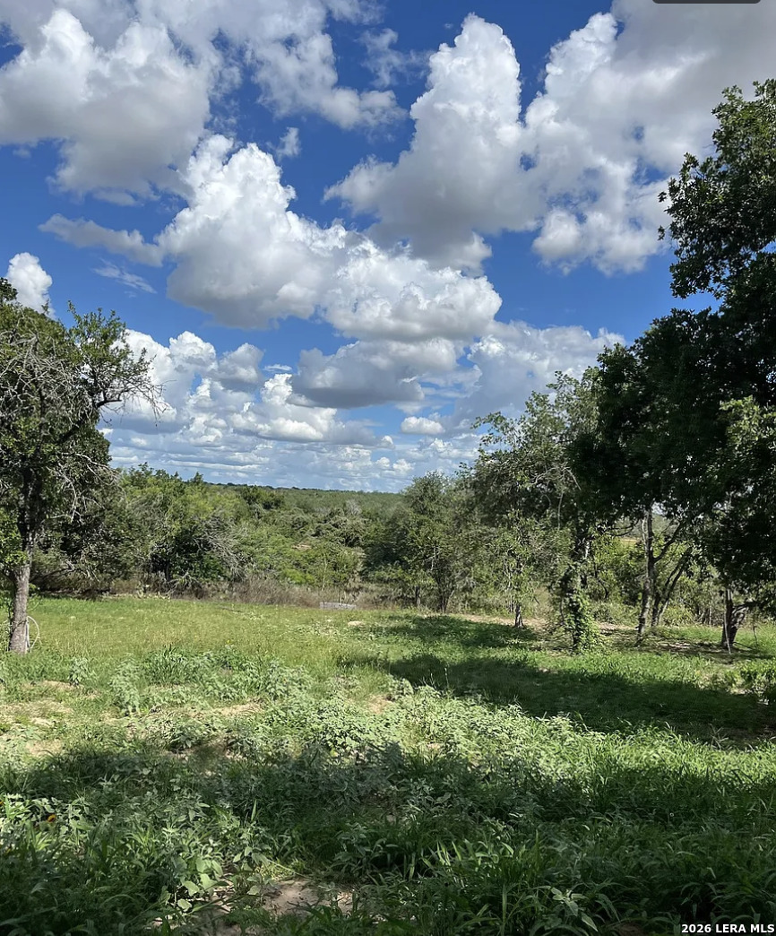 497 County Road 124 Floresville TX 78114