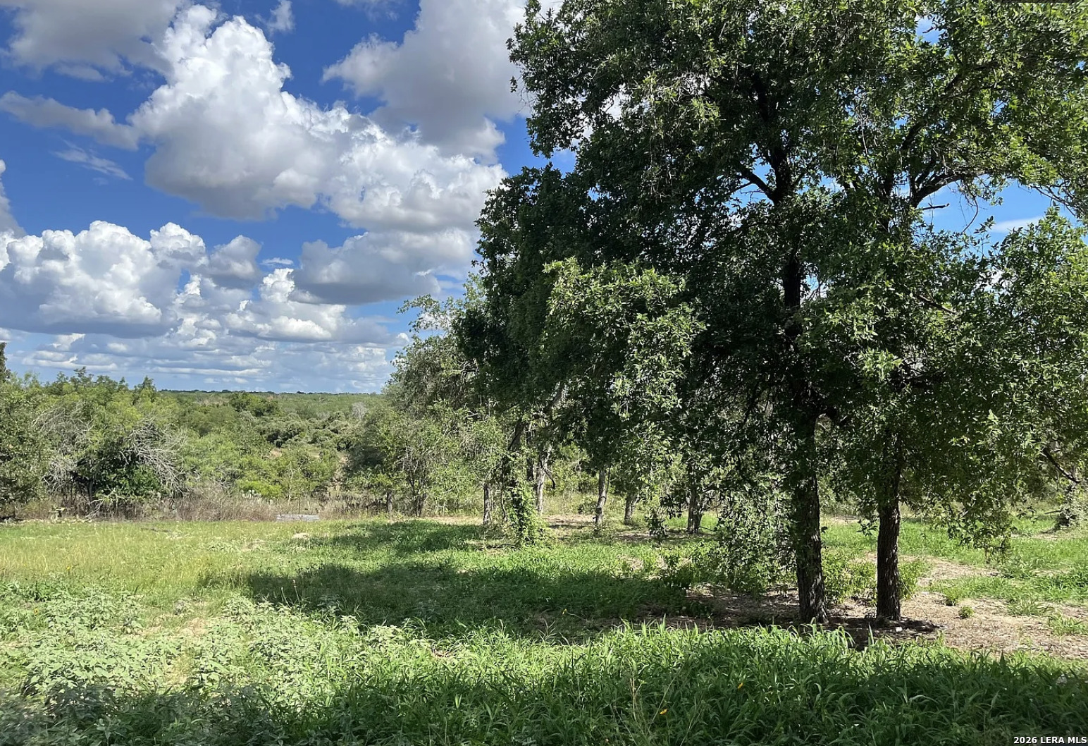 497 County Road 124 Floresville TX 78114