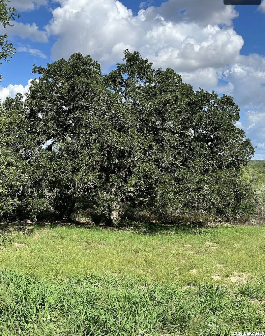 497 County Road 124 Floresville TX 78114