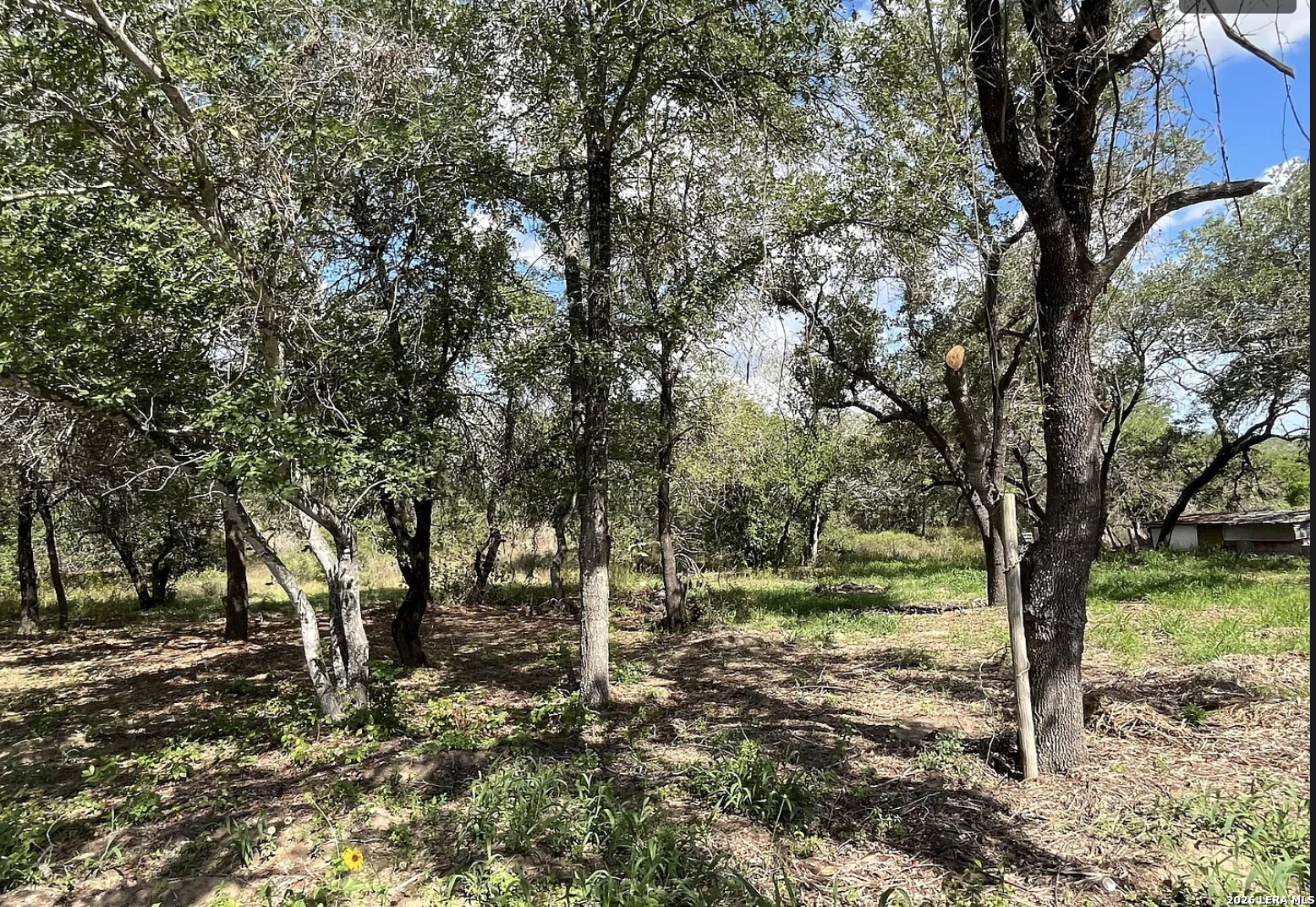 497 County Road 124 Floresville TX 78114