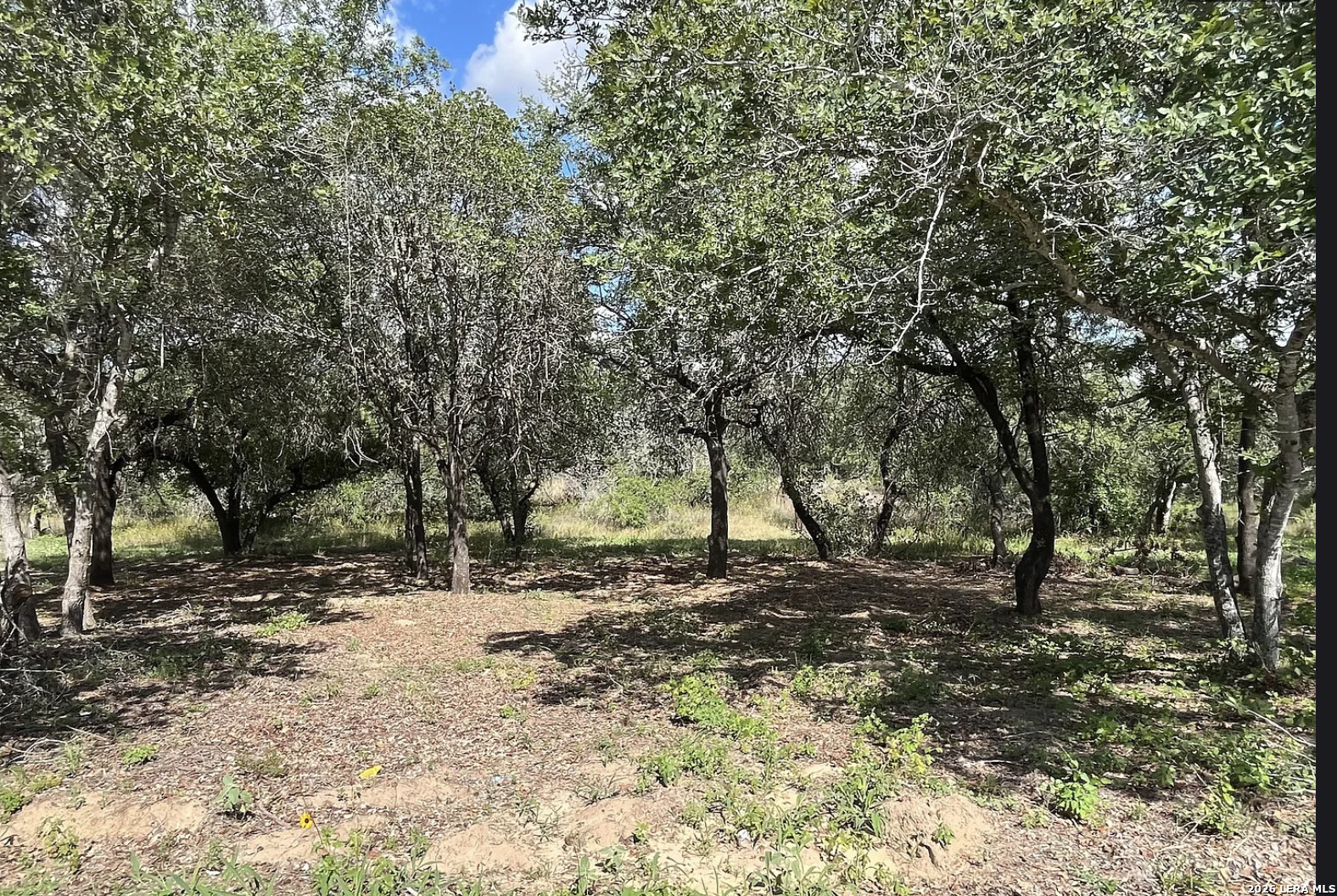 497 County Road 124 Floresville TX 78114
