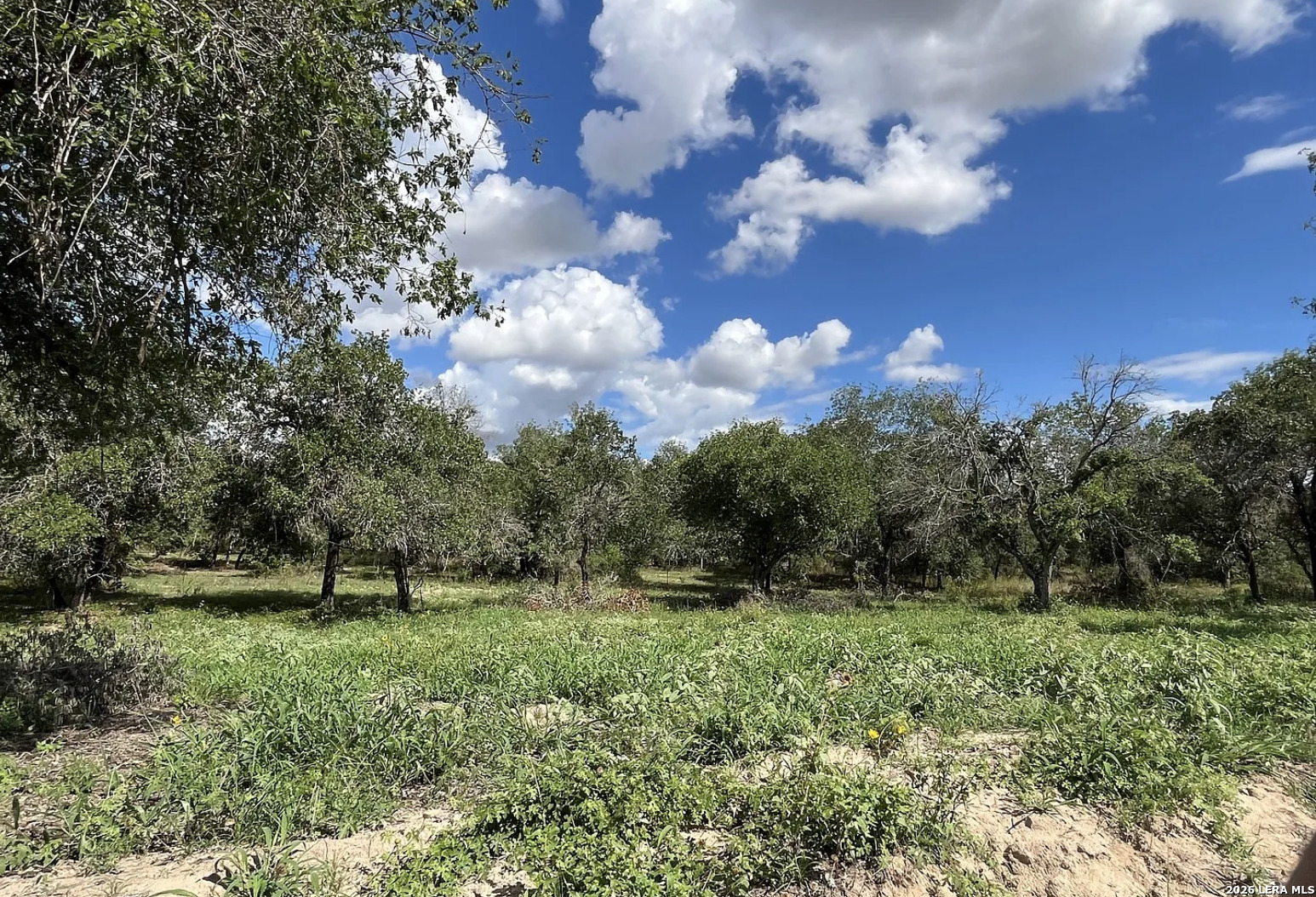 497 County Road 124 Floresville TX 78114