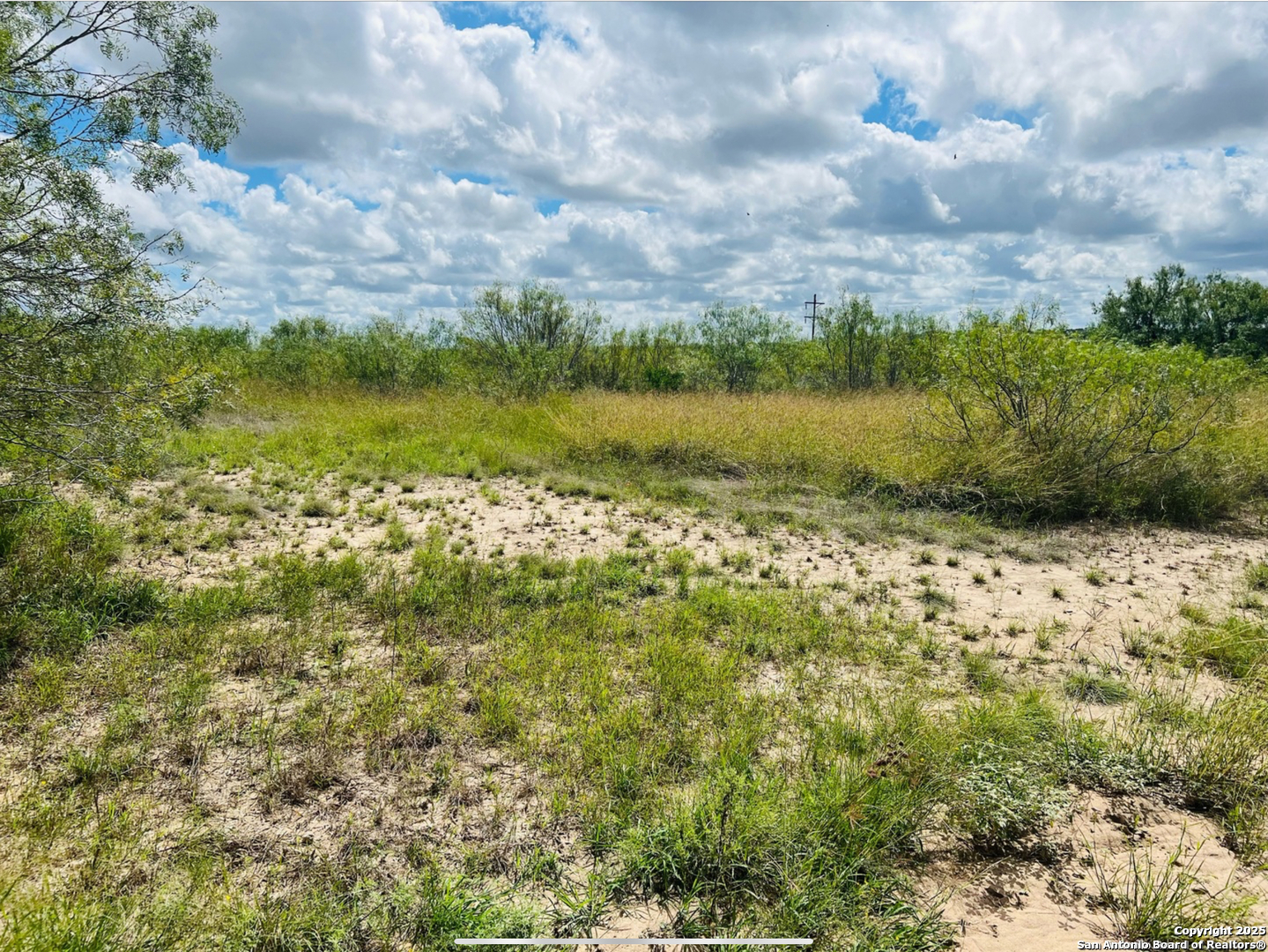 132 County Road 135 George West TX 78022