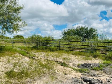 132 County Road 135 George West TX 78022