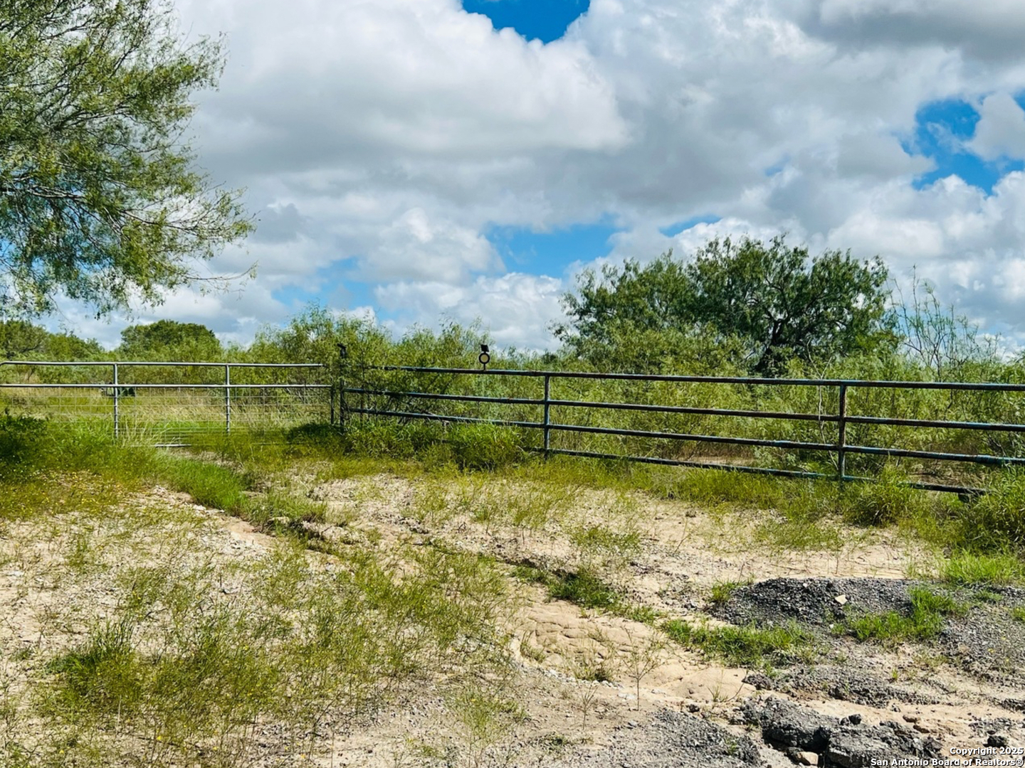 132 County Road 135 George West TX 78022