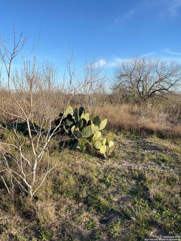 132 County Road 135 George West TX 78022