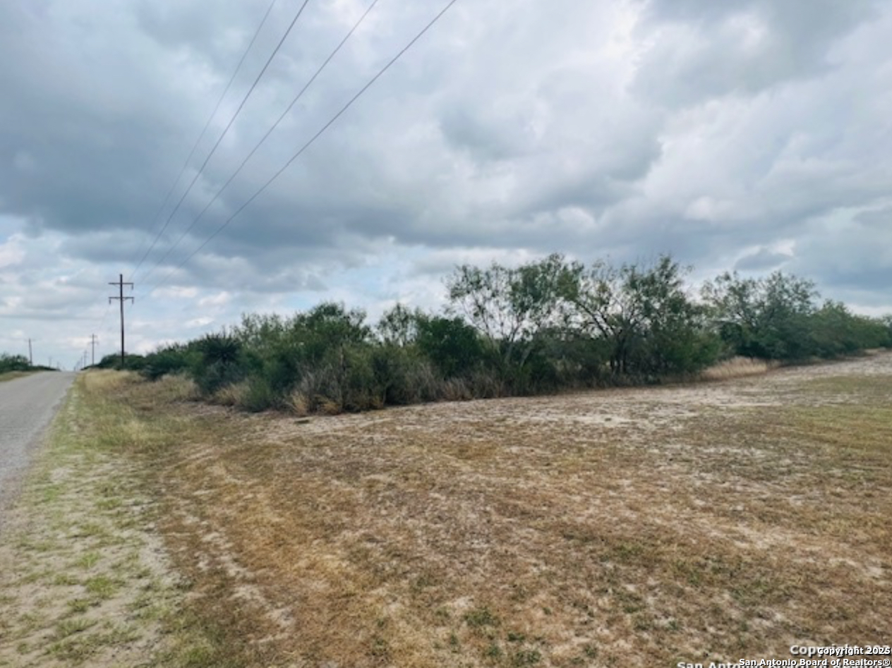 132 County Road 135 George West TX 78022