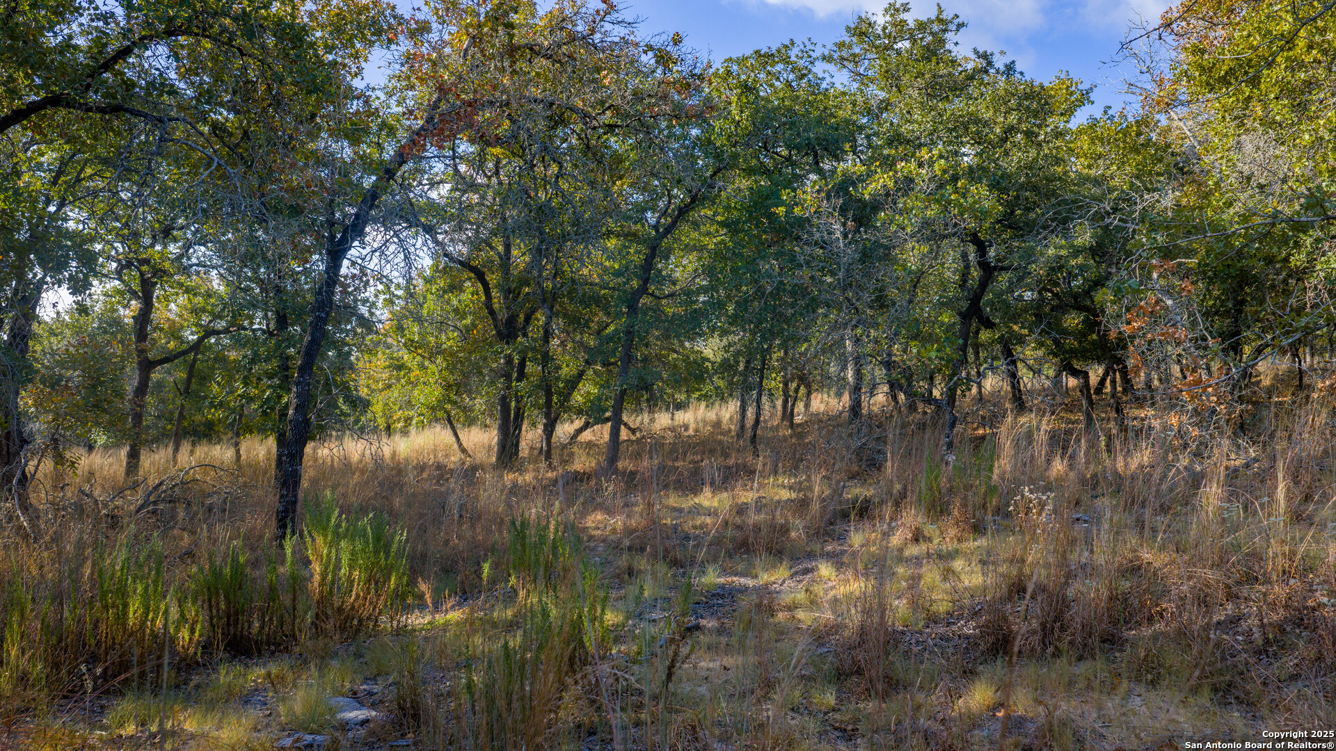 Lot 17 & 18 Sandstone Lane Seguin TX 78155