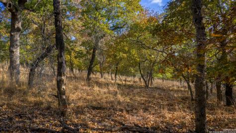 Lot 17 & 18 Sandstone Lane Seguin TX 78155