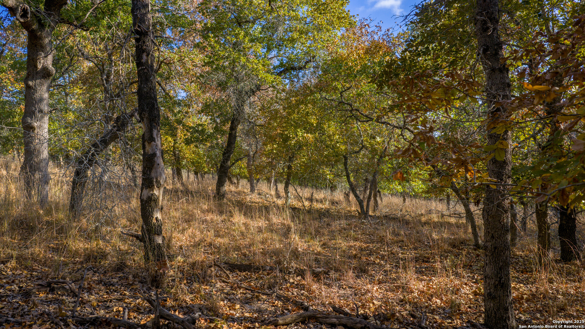 Lot 17 & 18 Sandstone Lane Seguin TX 78155