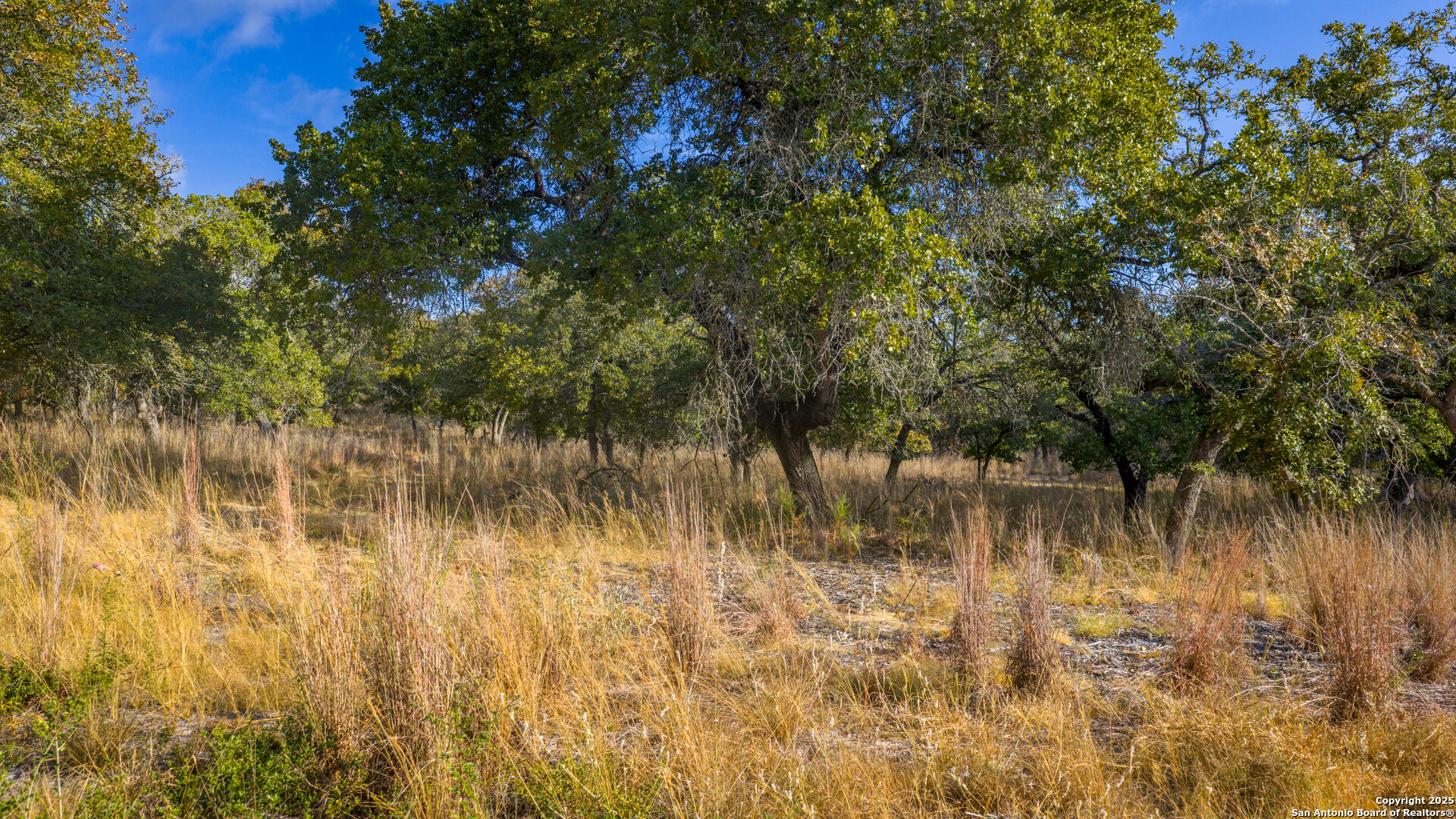 Lot 17 & 18 Sandstone Lane Seguin TX 78155