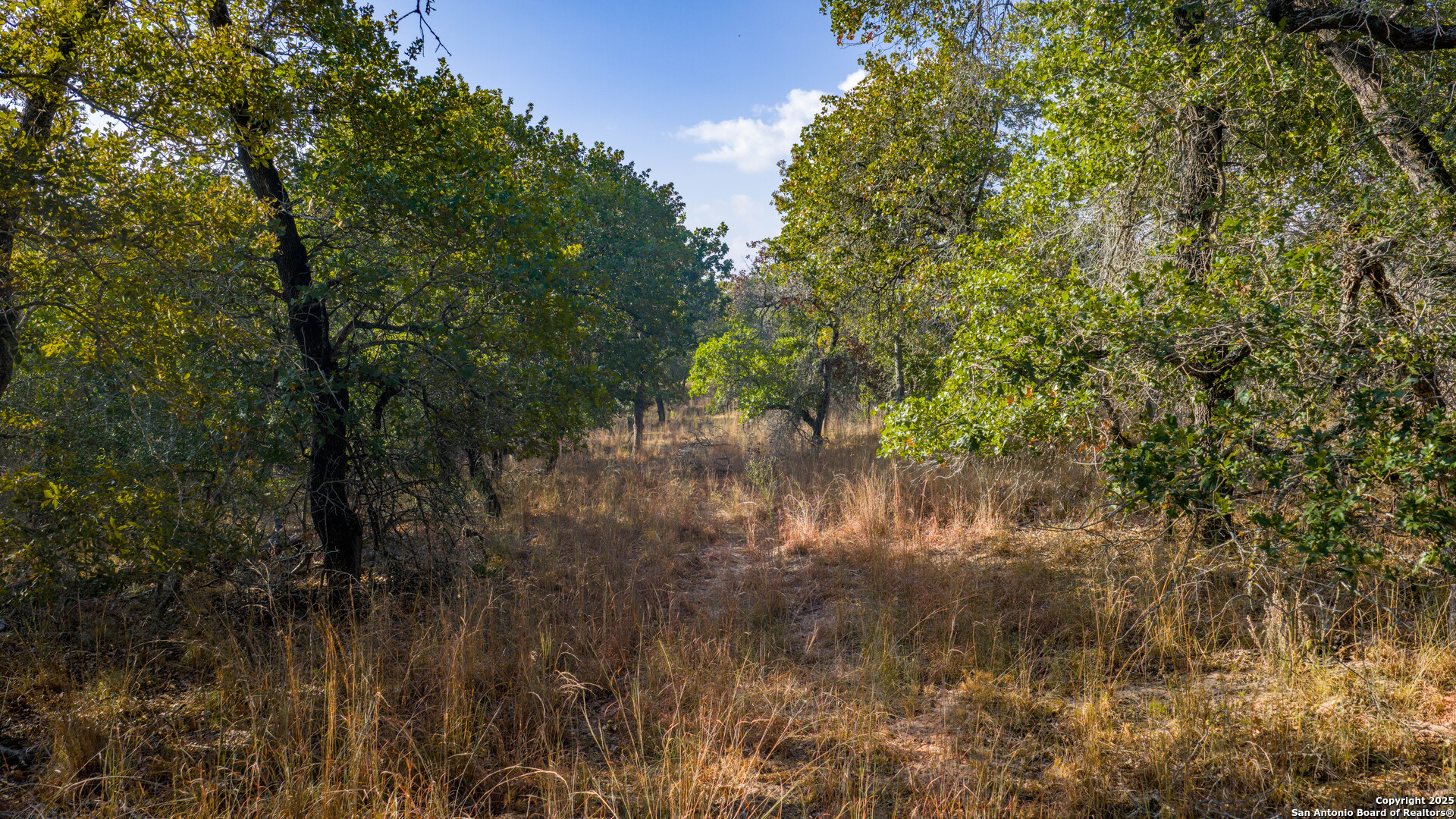 Lot 17 & 18 Sandstone Lane Seguin TX 78155