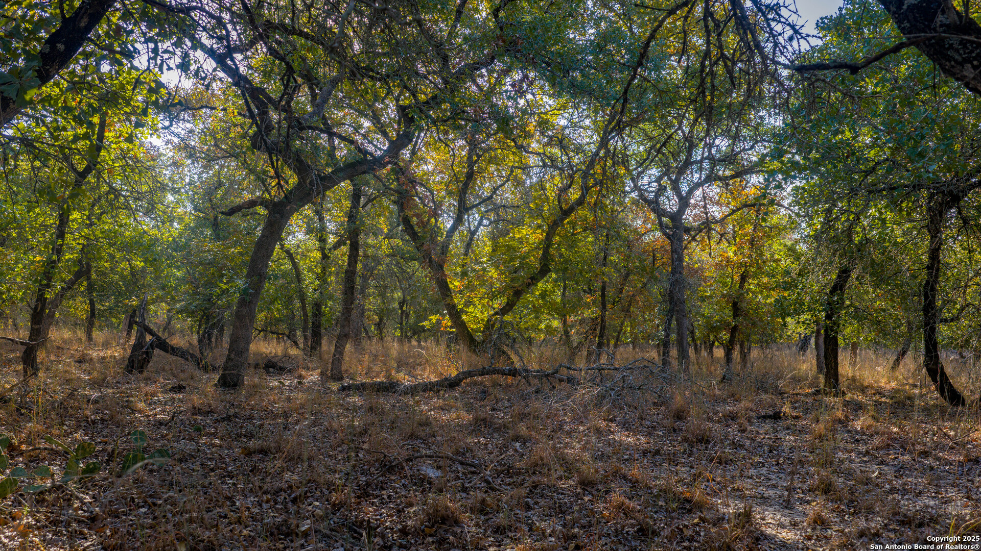 Lot 17 & 18 Sandstone Lane Seguin TX 78155