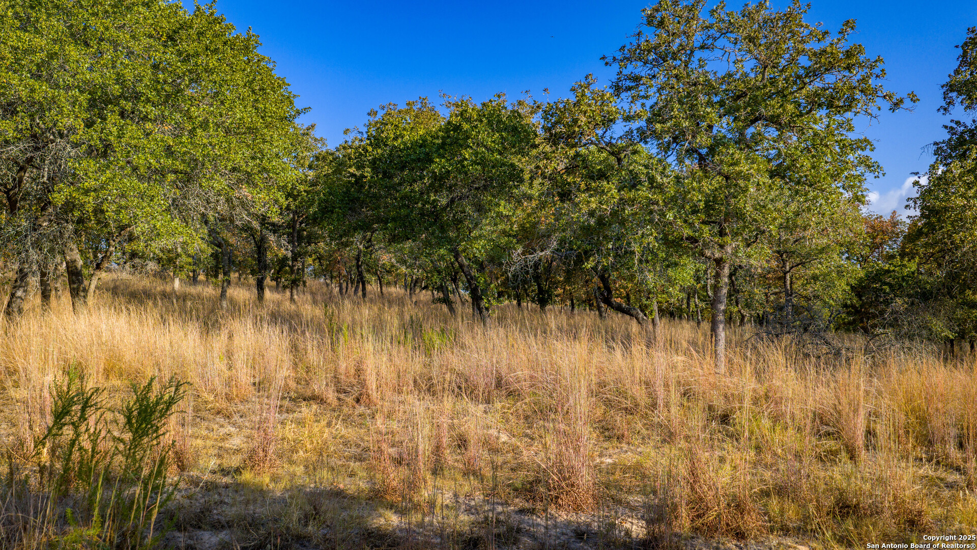 Lot 17 & 18 Sandstone Lane Seguin TX 78155