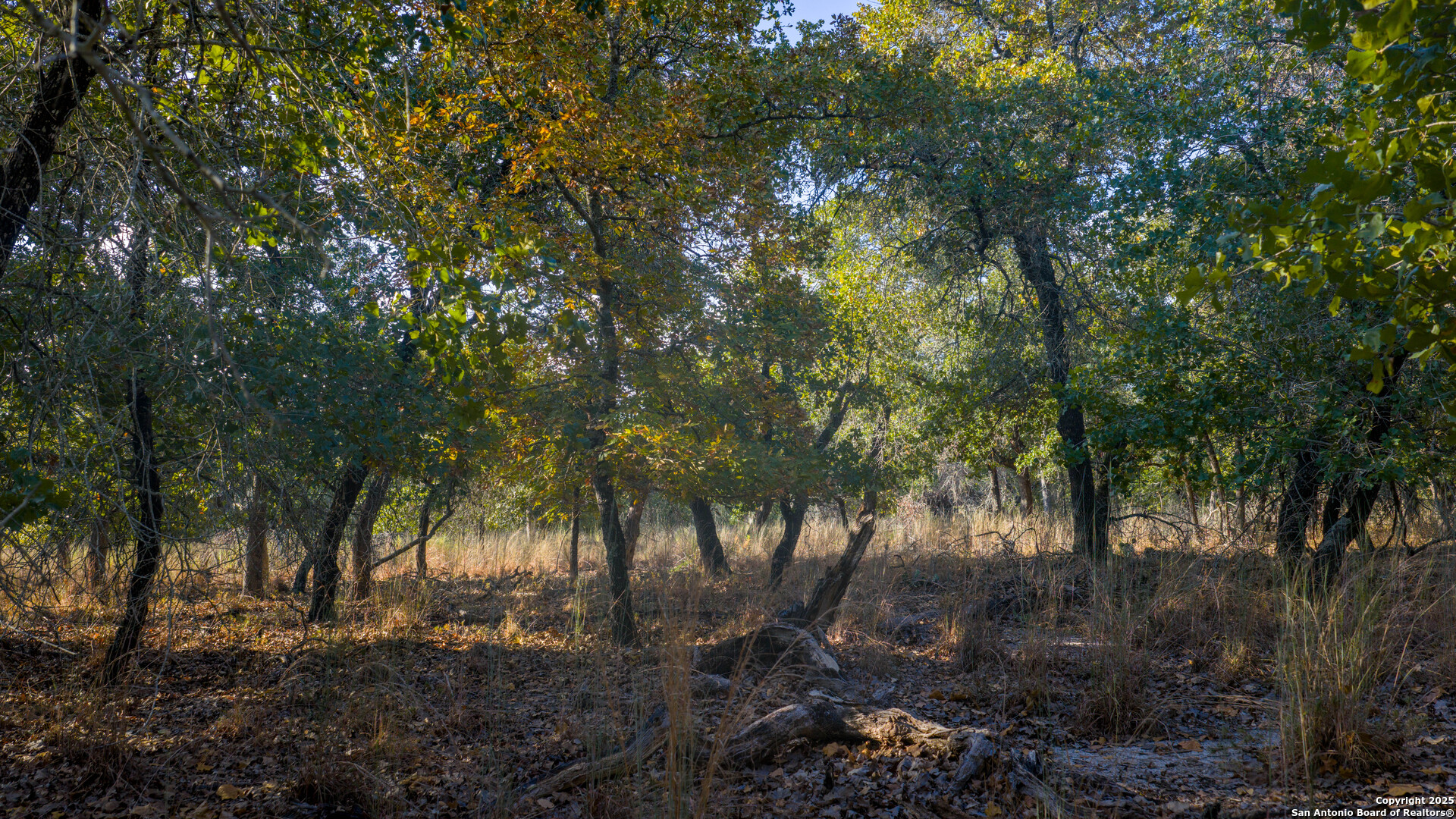Lot 17 & 18 Sandstone Lane Seguin TX 78155