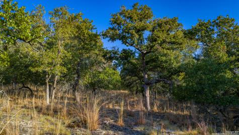 Lot 17 & 18 Sandstone Lane Seguin TX 78155