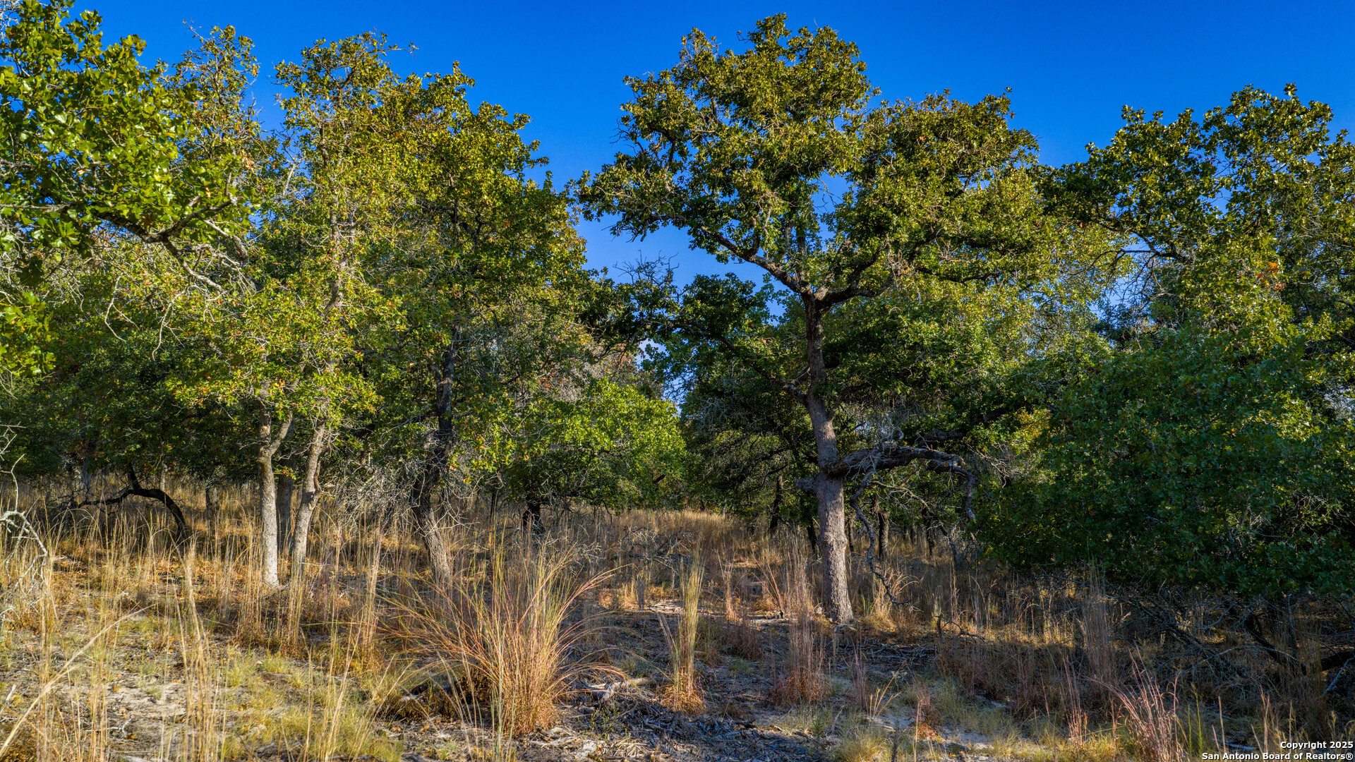 Lot 17 & 18 Sandstone Lane Seguin TX 78155