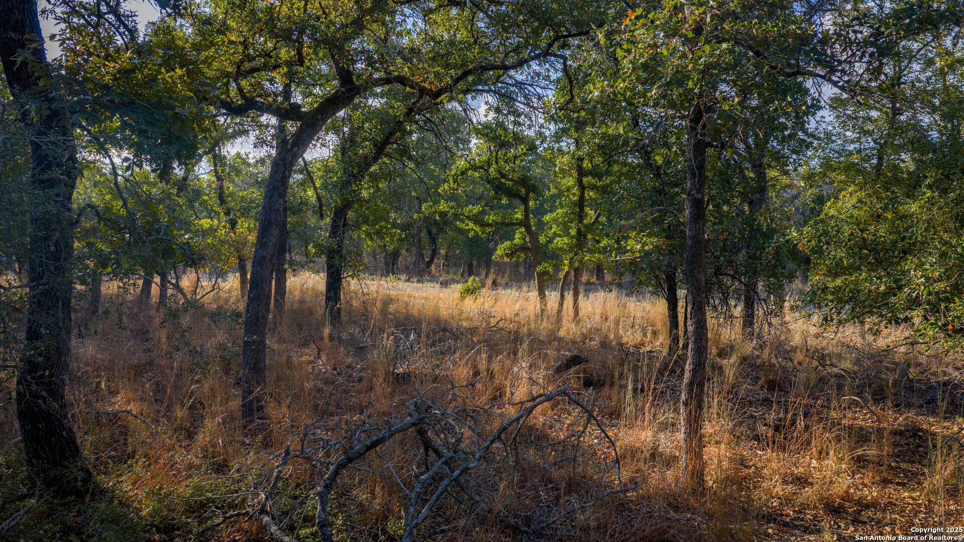 Lot 17 & 18 Sandstone Lane Seguin TX 78155