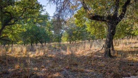 Lot 17 & 18 Sandstone Lane Seguin TX 78155
